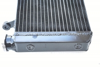 Ducati Monster S4R S4RS Wasserkhler OEM Style DOD