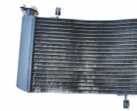 Ducati Monster S4R S4RS Wasserkhler OEM Style DOD