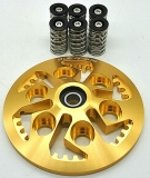 Kupplungsdruckplatte Druckplatte in verschiedenen Farben Federn Teller