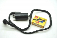 DUCATI Monster SS Vergaser Z�ndspule NGK