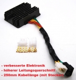 NEU Ducati Regler Drei-Phasen MosFet fr Baujahr 1998-2011 LiFEPo