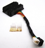 NEU Ducati Regler Drei-Phasen MosFet f�r Baujahr 1998-2011 LiFEPo